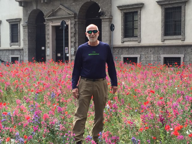 Wizard of Oz flowers