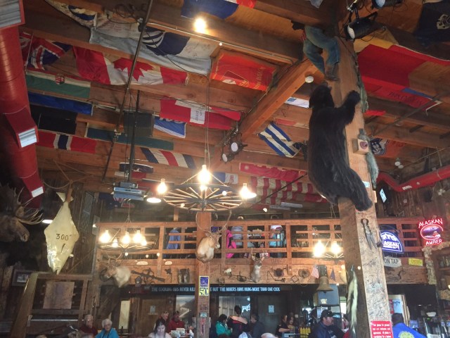 bear chasing man up pole