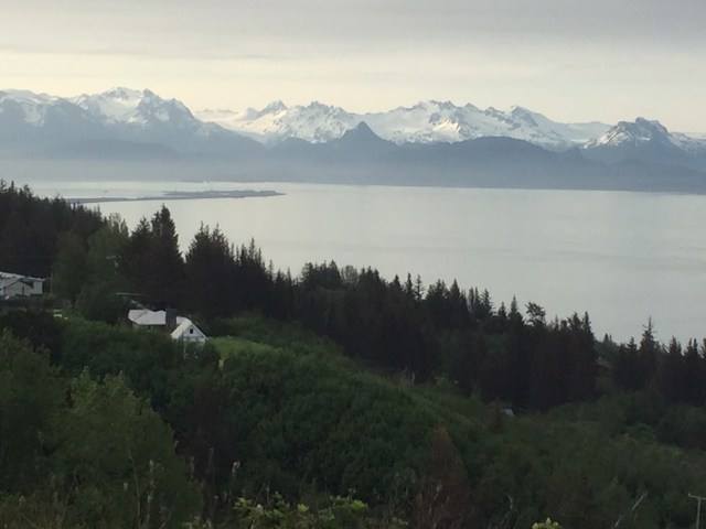 Coming down into Homer